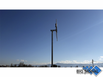 Big Signal BiQuad-270