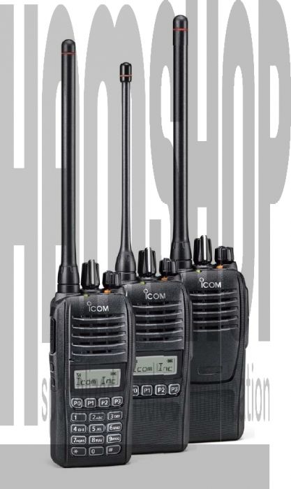 Icom IC-F2100DS